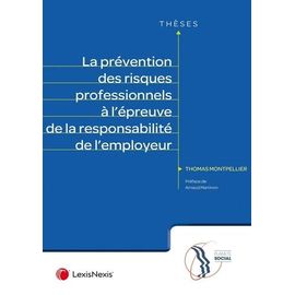 La Prévention Des Risques Professionnels À L'épreuve De La Responsabilité De L'employeur