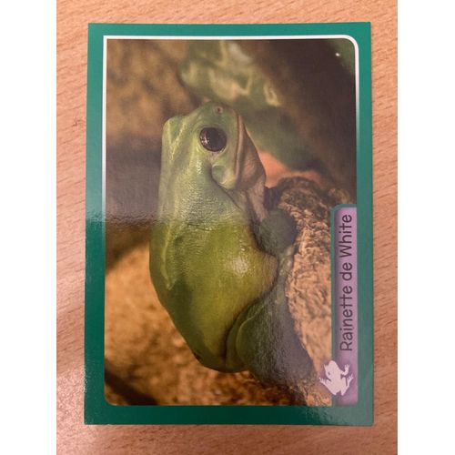 (336) Image Panini 38 Animaux 2014/2015 