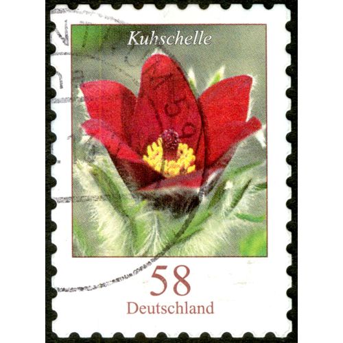 Timbre Oblitéré Deutschland, Kuhschelle, 58