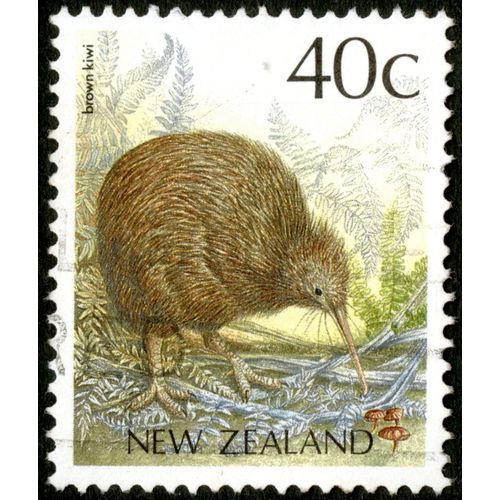 Timbre Oblitéré New Zealand, Brown Kiwi, 40 C
