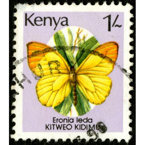 Timbre Oblitéré Kenya, Eronia Leda, Kitweo Kidimu, 1