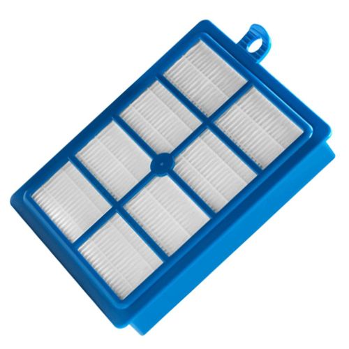 Filtre lavable allergie plus AFS1W d'origine Aspirateur (9001677690 )