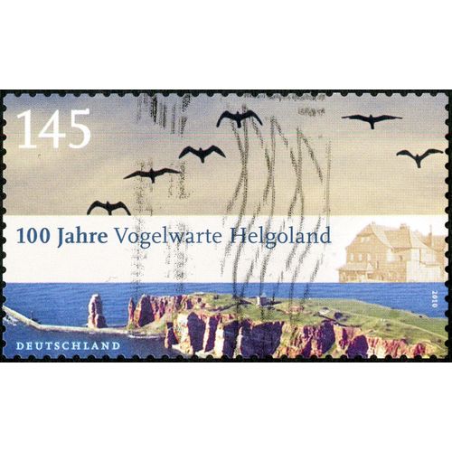 Timbre Oblitéré Deutschland, 100 Jahre Vogelwarte Helgoland, 2010, 145