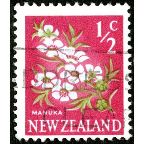 Timbre Oblitéré New Zealand, Manuka, 1/2 C