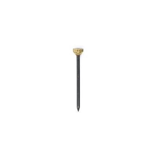Ceanothe - Lot de 50 aiguilles de fixation - Noir