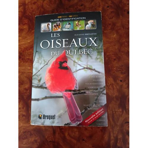 Guide D'identification Les Oiseaux Du Québec Suzanne Brûlotte Aux Éditions Broquet