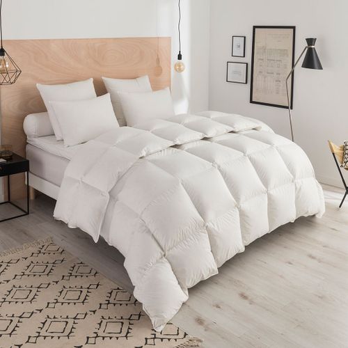 Dodo | Couette Thermoduv Chaude - 90% Duvet D'oie - 140 X 200 Cm