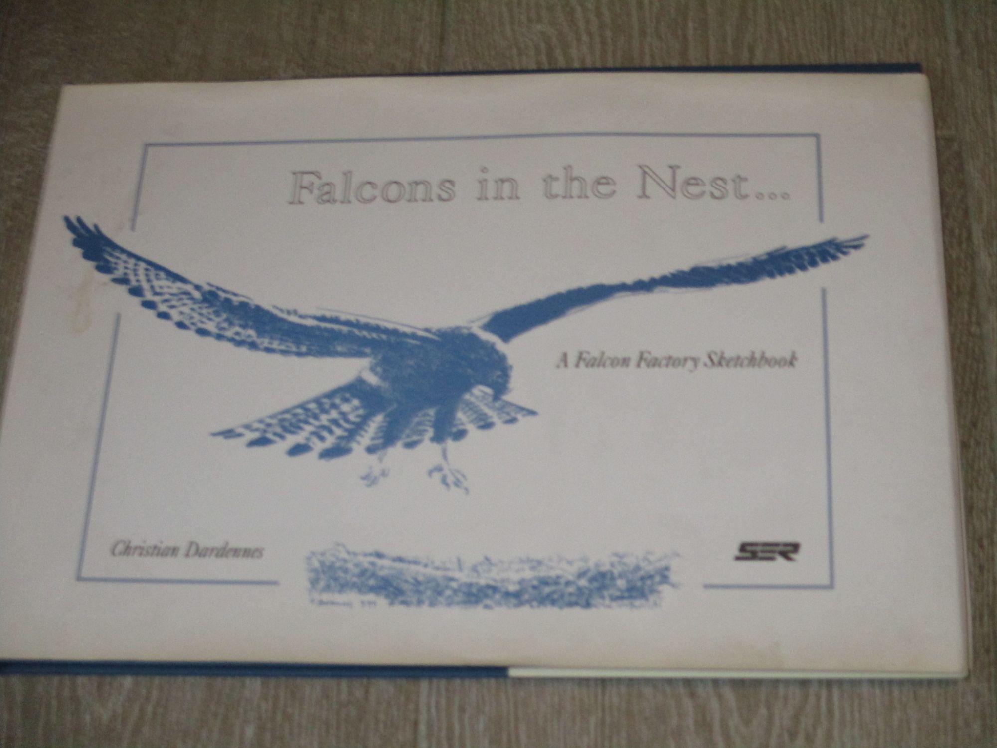Falcons In The Nest...