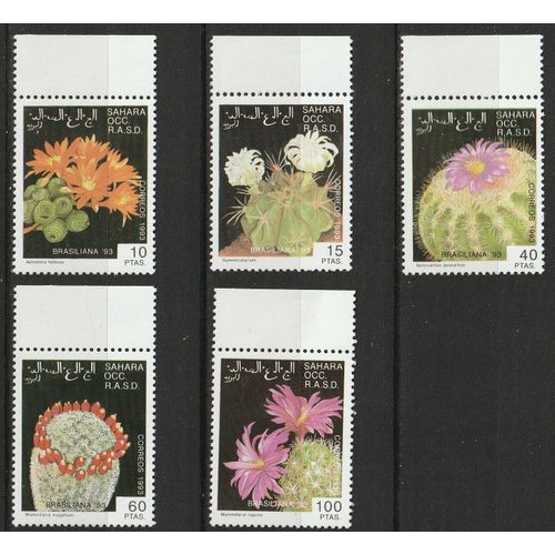 Sahara Occidental, Lot De 5 Timbres Neuf** Avec Bord De Feuille Série Cactus 1993 "Brasiliana 93"