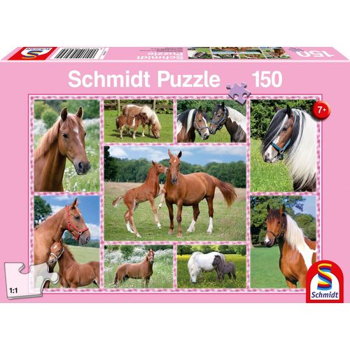 Puzzles Rêves De Chevaux, 150 Pcs
