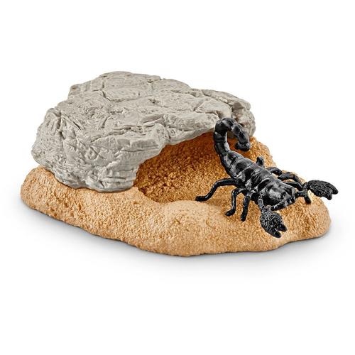 Wild Life Trou De Scorpion