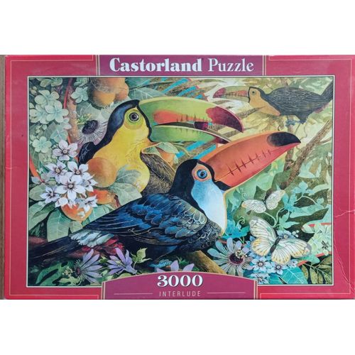 Puzzle 3000 Pièces Castorland Pelican