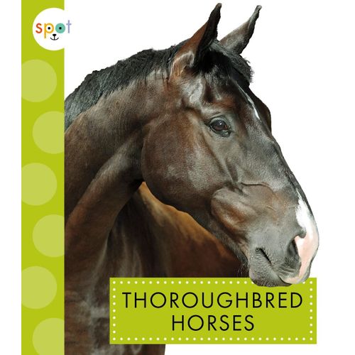 Thoroughbred Horses