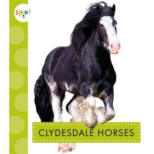 Clydesdale Horses