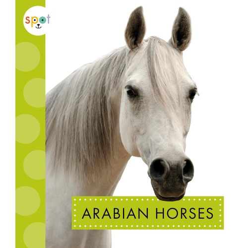 Arabian Horses