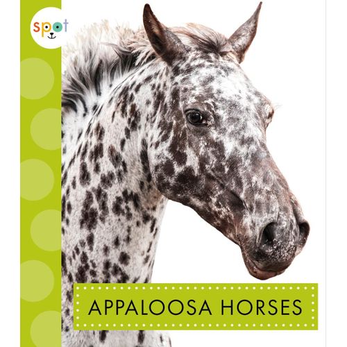 Appaloosa Horses