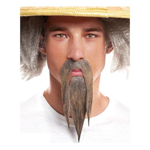 Moustache Et Barbe Grises Asiatiques