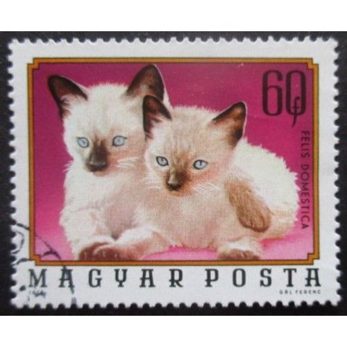 Hongrie N°2405 Chatons Oblitéré
