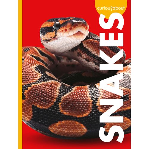 Curious About Snakes