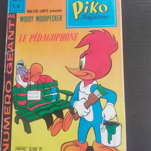 Bd Piko Magazine Numéro Vintage 46