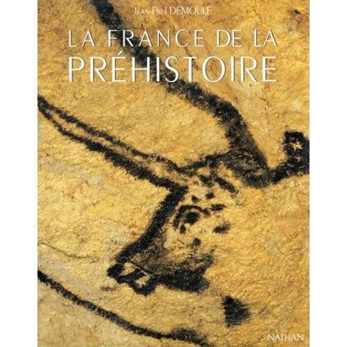 La France De La Prehistoire - Mille Millenaires, Des Premiers Hommes A La Conquete Romaine