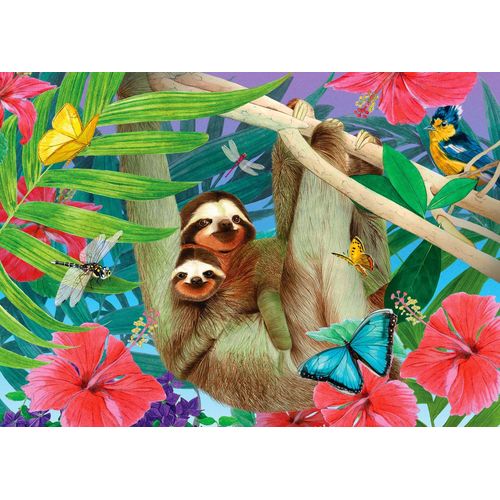 Sweet Sloths - Puzzle 1000 Pièces