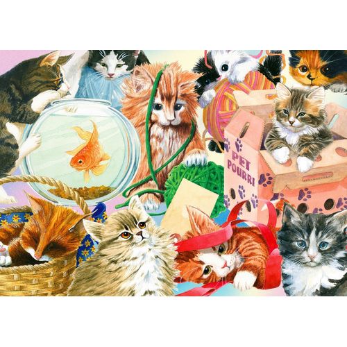 Curious Cats - Puzzle 1000 Pièces