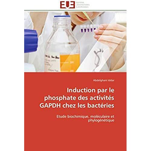 Induction Par Le Phosphate Des Activités Gapdh Chez Les Bactéries: Etude Biochimique, Moléculaire Et Phylogénétique (Omn.Univ.Europ.)