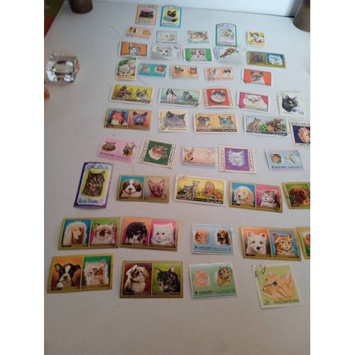 Lot De 45 Timbres Oblitérés De Chat Chien Philatélie