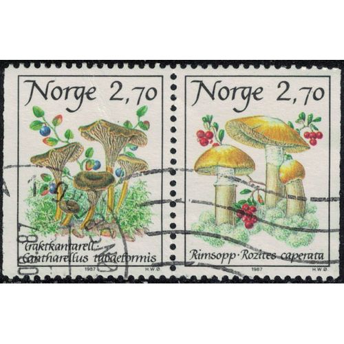 Norvège 1987 Oblitéré Used Se-Tenant Champignons Cantharellus Tubaeformis Et Rozites Caperata Y&t No 924a Su