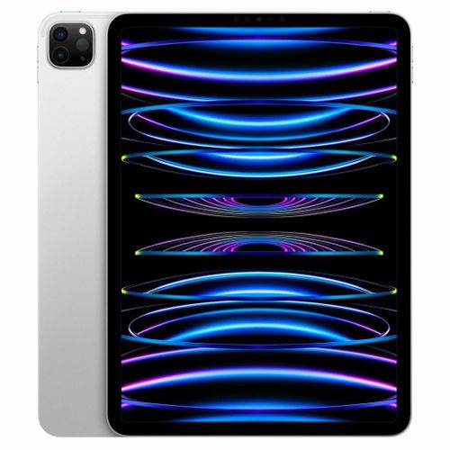 Apple iPad Pro 11" Wi-Fi 2022 2To argent