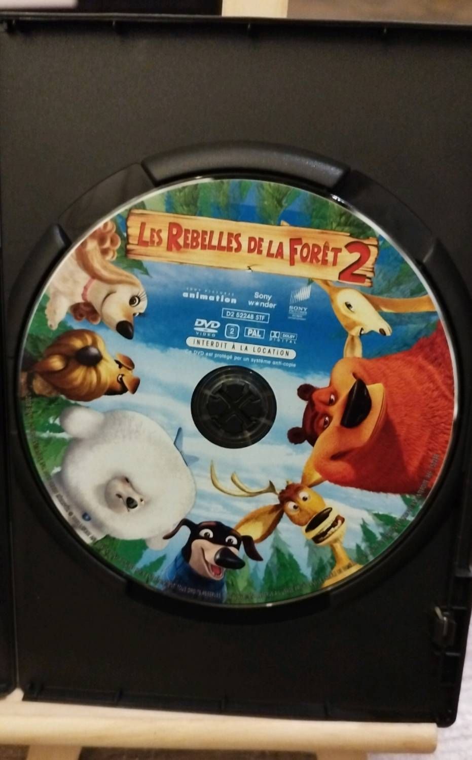 Les Rebelles de la forêt 2 - DVD Zone 2 | Rakuten