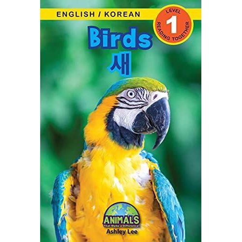 Birds / ¿