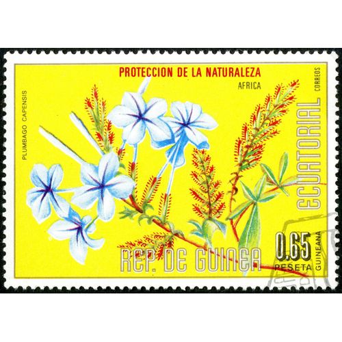 Timbre Oblitéré Rep De Guinea Ecuatorial, Plumbago Capensis, Proteccion De La Naturaleza Africa, Correos, 0.65 Peseta