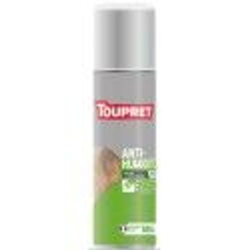 Traitement anti humidité murs intérieurs humides aérosol 500ml TOUPRET