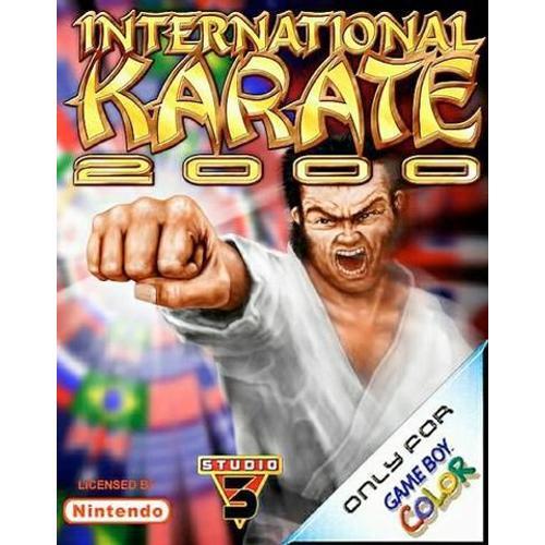 International Karate Game Boy Color