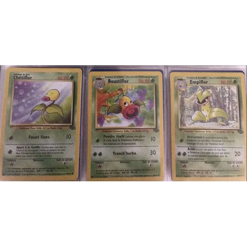 Cartes Chétiflor + Boustiflor + Empiflor (Rare)