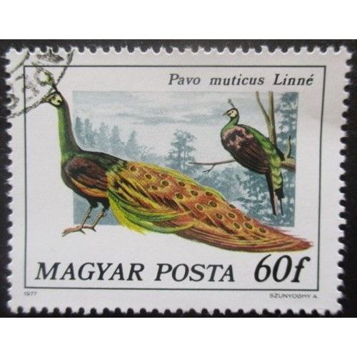 Hongrie N°2551 Paon Oblitéré