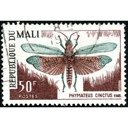 Timbre Oblitéré République Du Mali, Phymateus Cintus Fab., Postes, 50 F