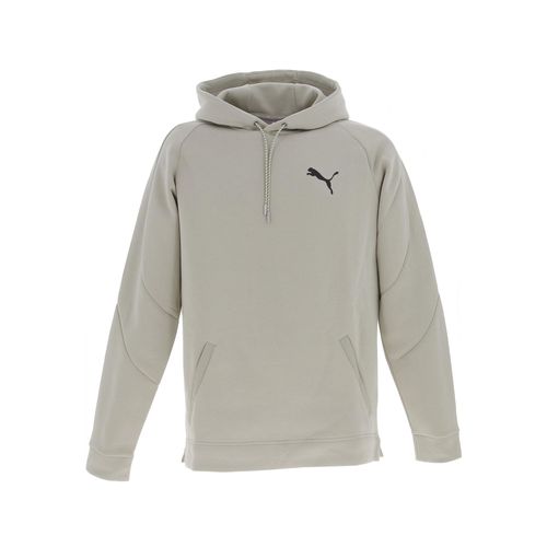 Sweat Capuche Hooded Puma Fd Day In Mtion Hdy Dk Gris Chiné