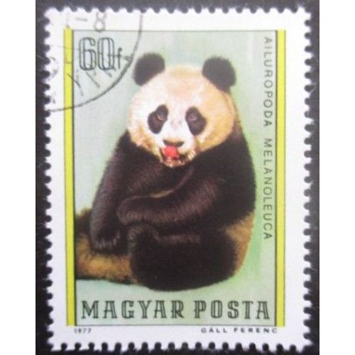 Hongrie N°2588 Grand Panda Oblitéré