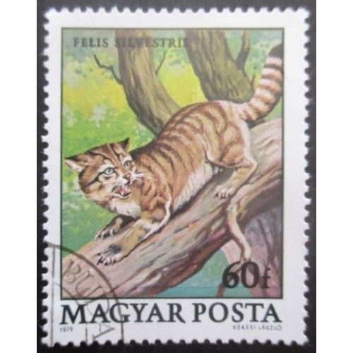 Hongrie N°2691 Chat Sauvage Oblitéré