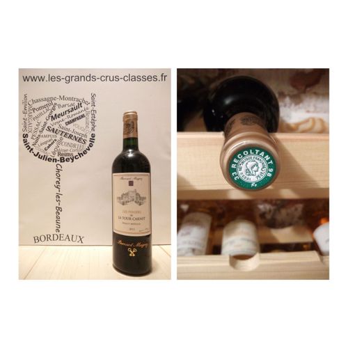 Château La Tour Carnet - Les Pensées De La Tour Carnet 2015 - Haut-Médoc - 1 X 75 Cl - Rouge