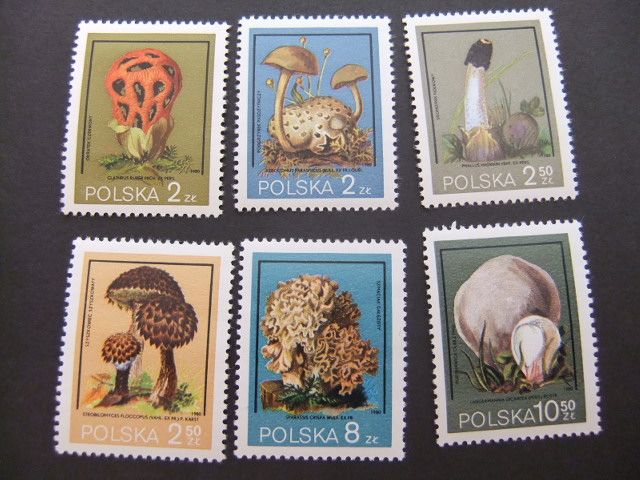 Pologne Polska1980 Flora Champignons Champignons Yvert 2510 / 2515 ** Mnh