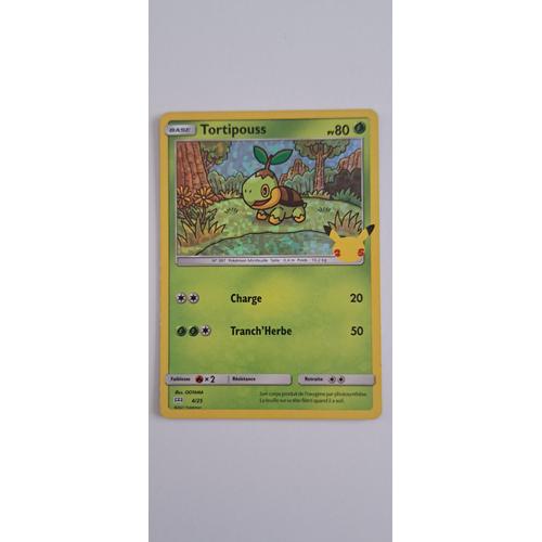 Carte Pokemon Tortipouss