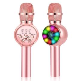 Microphone GENERIQUE Microphone Karaoke Sans Fil, Karaoké Microphone  Bluetooth Portable pour Enfants/Adultes Chanter Rose