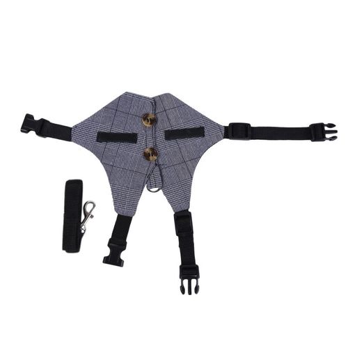 Harnais Pour Chien, Accessoire Pour Animal Domestique, Pour Hamster, Lapin, Petit Animal, Chiot, Laisse, Ensemble De Plomb Pour Furet, Cochon D'inde, Chaton