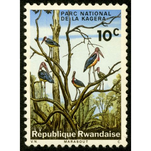 Timbre République Rwandaise, Parc National De La Kagera, 10 C