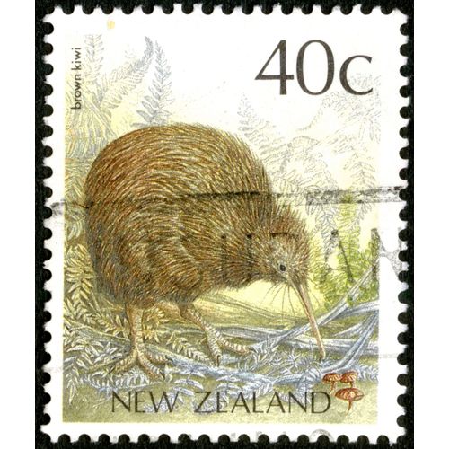 Timbre Oblitéré New Zealand, Brown Kiwi, 40 C