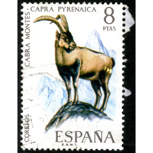 Timbre Oblitéré Espana, Cabra Montes, Capra Pyrenaica, Correos, 8 Ptas